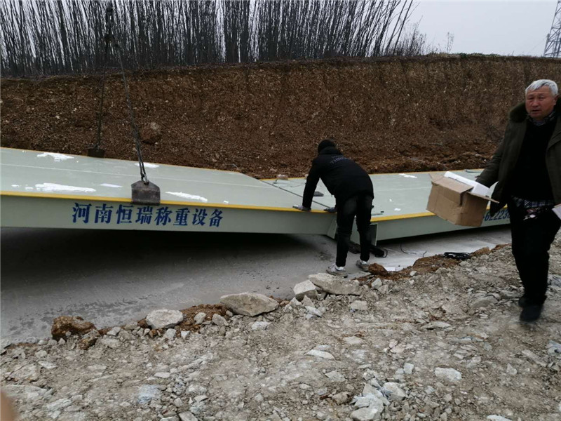 mmexport1548732316999.jpg