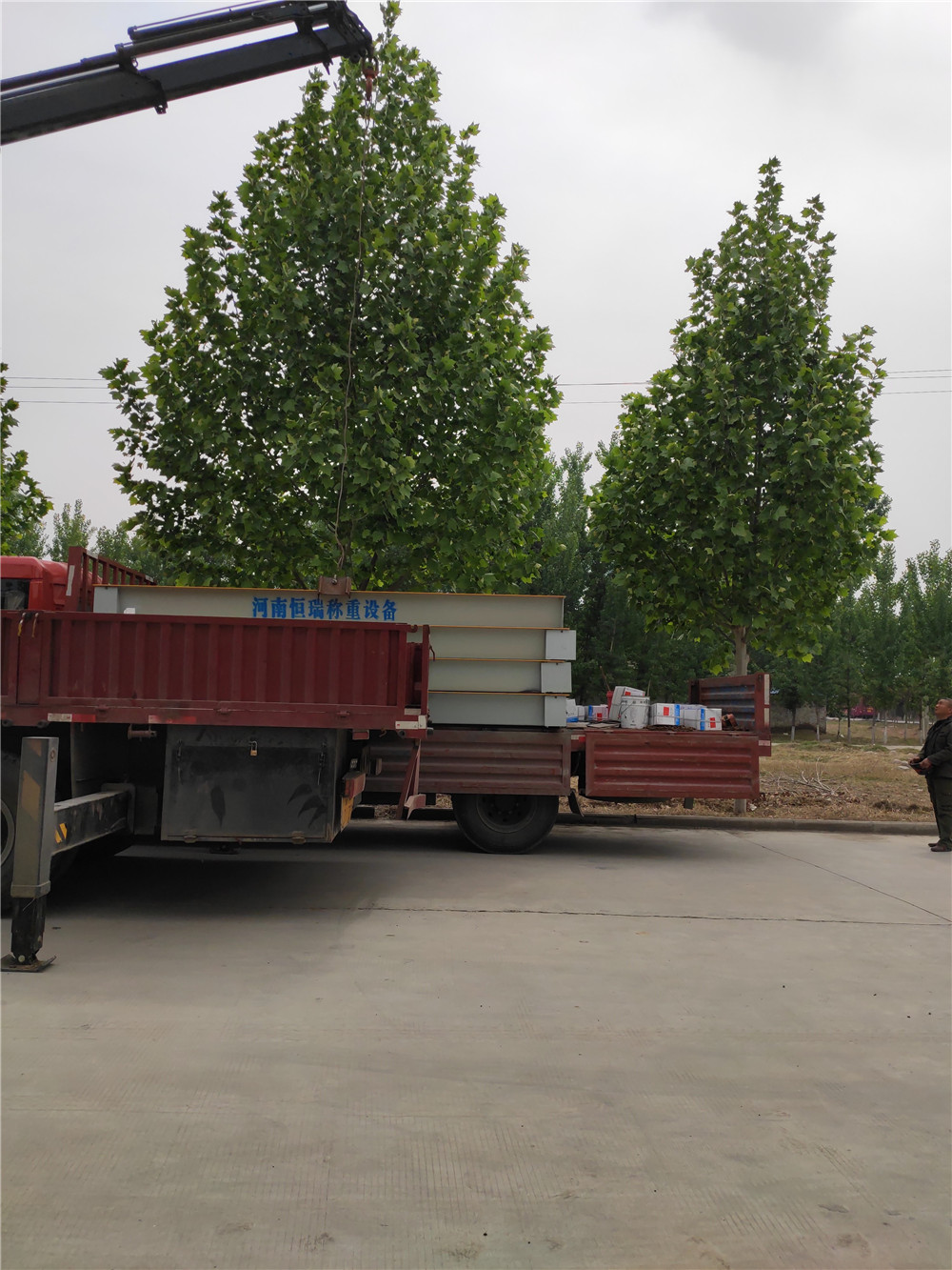 mmexport1556601796452.jpg